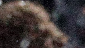 Joe Mixon durante un partido de Cincinnati Bengals en la NFL.