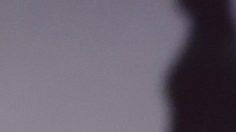 Rick Scott sigue cambiando su plan de 12 puntos para negociar el límite de la deuda de EE.UU.