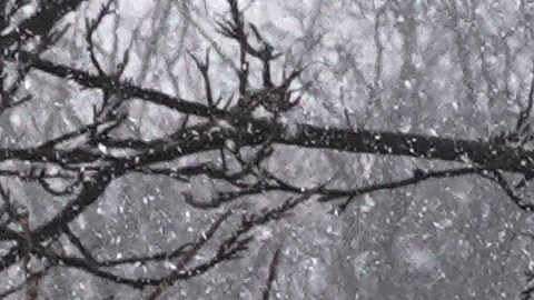 Noreste de EE.UU. enfrenta la peor tormenta invernal en décadas con vientos helados de menos -50