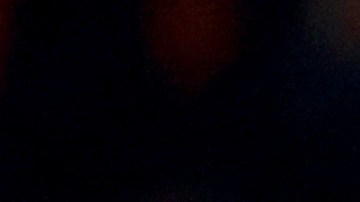 Guillermo Ochoa, portero del Salernitana.