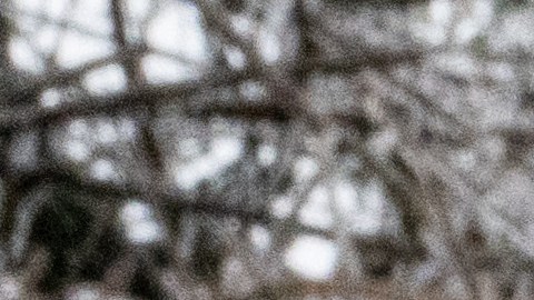 Tormenta invernal azota sur de EE.UU., deja al menos 9 muertos y miles de personas en Texas bajo cero sin electricidad