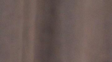 Megan Fox y Machine Gun Kelly