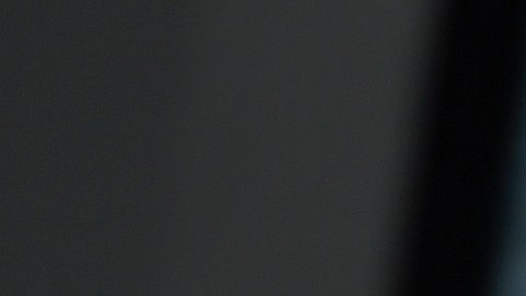 Guillermo del Toro