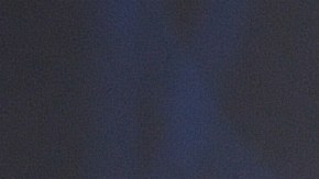 La nueva especie de luciérnaga fue descubierta por científicos de la Universidad Autónoma Nacional de México