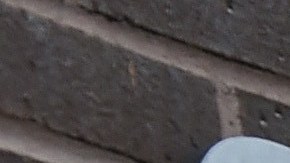 The West Hollywood Sheriff's Department station is viewed where rapper Marion "Suge" Knight surrendered to deputies in Los Angeles, California on January 30, 2015. Rap mogul Marion "Suge" Knight was arrested for murder in connection with a hit-and-run that left one man dead and another person in the hospital. The rapper is being held in lieu of $2 million in bail. AFP PHOTO/MARK RALSTON (Photo credit should read MARK RALSTON/AFP via Getty Images)