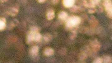 Avión bimotor se estrella en Arkansas y deja cinco muertos