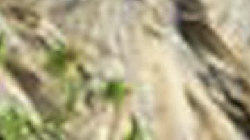 Carlos Vives y Shakira