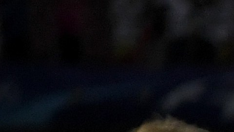 Toni Kroos (I) y Luka Modric (D), jugadores del Real Madrid.