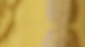 Nikki Haley fue nombrada embajadora de EE.UU. ante las Naciones Unidas por el presidente Donald Trump.