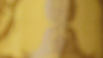 Nikki Haley fue nombrada embajadora de EE.UU. ante las Naciones Unidas por el presidente Donald Trump.