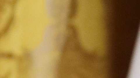Nikki Haley fue nombrada embajadora de EE.UU. ante las Naciones Unidas por el presidente Donald Trump.
