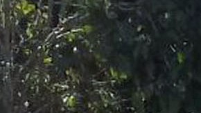 Tragedia en México, vuelca autobús y deja al menos una decena de muertos