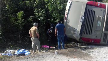 Tragedia en México, vuelca autobús y deja al menos una decena de muertos