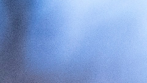 El Día de la Marmota es una tradición popular en los Estados Unidos y Canadá donde la gente espera el amanecer y la salida de la marmota de su guarida de invierno.