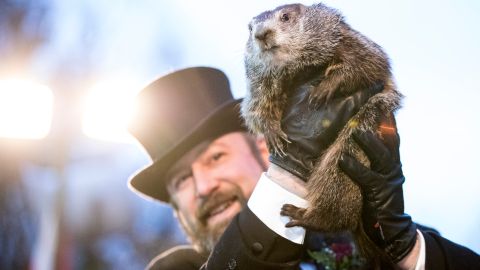 El Día de la Marmota es una tradición popular en los Estados Unidos y Canadá donde la gente espera el amanecer y la salida de la marmota de su guarida de invierno.