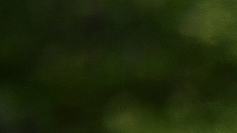 Funcionaria de alto cargo en Ministerio de Defensa en Rusia muere de forma sospechosa al caer de ventana