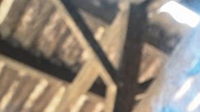 Los devotos hindúes, que veneran a las vacas como sagradas, afirman que la festividad occidental va en contra de los valores tradicionales indios