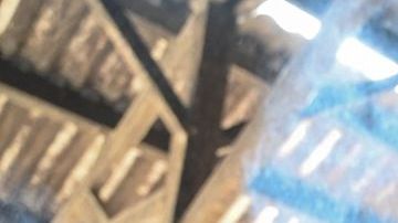 Los devotos hindúes, que veneran a las vacas como sagradas, afirman que la festividad occidental va en contra de los valores tradicionales indios