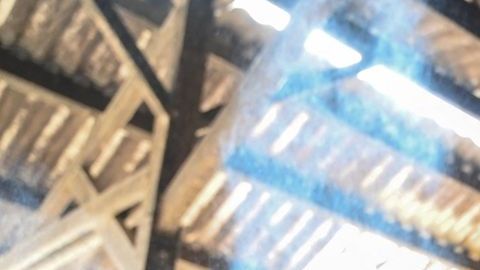 Los devotos hindúes, que veneran a las vacas como sagradas, afirman que la festividad occidental va en contra de los valores tradicionales indios