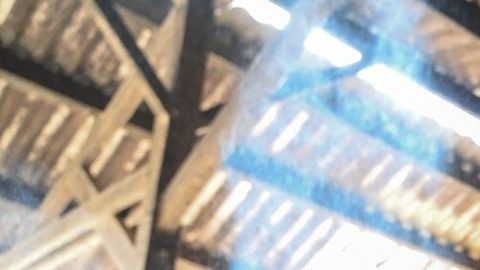 Los devotos hindúes, que veneran a las vacas como sagradas, afirman que la festividad occidental va en contra de los valores tradicionales indios