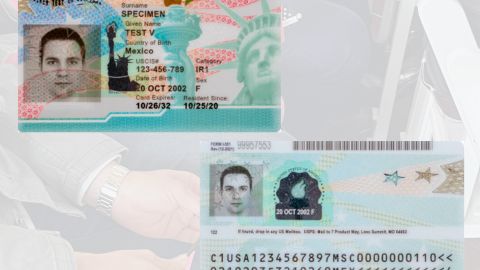 La Green Card cuenta con un diseño más seguro.