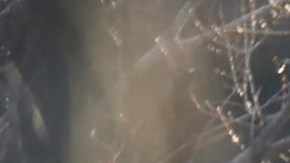 Esta fotografía tomada el 17 de febrero de 2023 en las afueras del pueblo de Lokorsko, a unos 20 kilómetros (12 millas) al noreste de Sofía, muestra una vista general del hallazgo de dieciocho migrantes muertos en la parte trasera de un camión abandonado