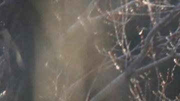 Esta fotografía tomada el 17 de febrero de 2023 en las afueras del pueblo de Lokorsko, a unos 20 kilómetros (12 millas) al noreste de Sofía, muestra una vista general del hallazgo de dieciocho migrantes muertos en la parte trasera de un camión abandonado