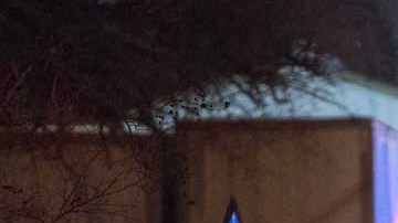 Una denuncia telefónica durante un programa detonó de la investigación que llevó a la captura del padre violador