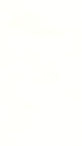 Líderes angelinos lloran la muerte del obispo David O’Connell.