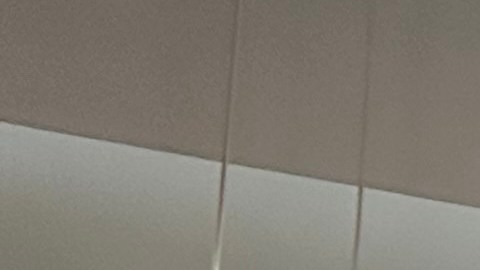 En la Biblioteca Pública de Los Ángeles, los nuevos ciudadanos juran lealtad a Estados Unidos. (Araceli Martínez/La Opinión)