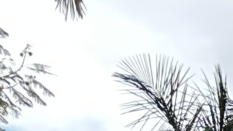 Buena parte de los vecinos se oponen a que se elimine la cerca alrededor del lago de Echo Park. (Araceli Martínez/La Opinión)