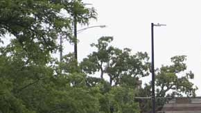 Se desconoce si se realizó el pago que exigía Volkswagen para brindar los datos de rastreo del vehículo que ensambló