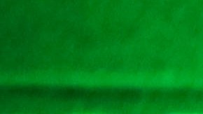 Julio César Chávez.