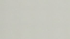 Gerardo Torrado es el director técnico Pío FC.