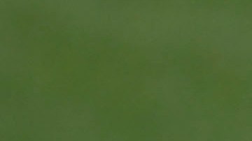 Yon de Luisa y Gerardo Martino.