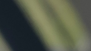 El incidente de Lazcano ocurrió en el empate 1-1 de Pumas con Cruz Azul.