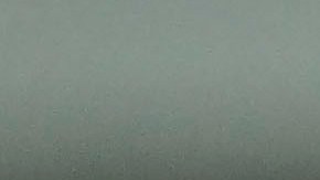 Diego Cocca asumió la dirección técnica de Tigres para este torneo.