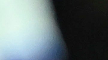 Diego Cocca solo ha dirigido al club en cinco partidos.