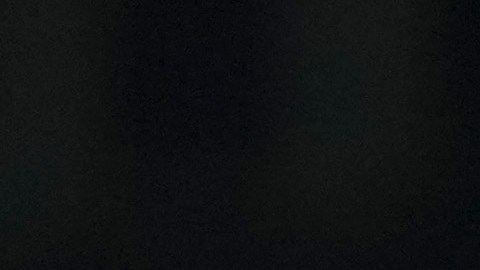 Nahuel Guzmán. portero de Tigres.