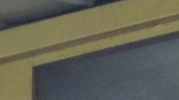 Cocca vivió desde las gradas su segundo partido como seleccionador de El Tri.