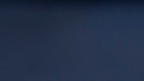 Lillini actualmente es el entrenador del Necaxa.