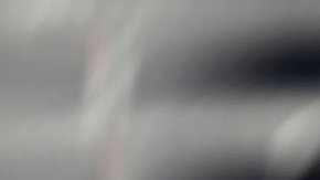 Aspecto previo al partido de los Pumas de la UNAM y las Chivas de Guadalajara.