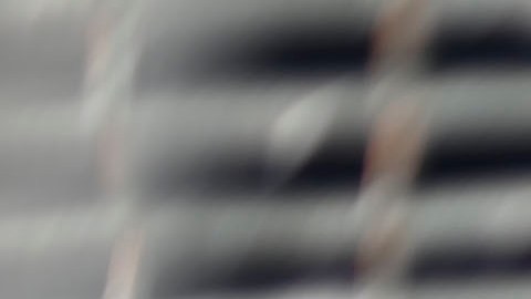 Aspecto previo al partido de los Pumas de la UNAM y las Chivas de Guadalajara.