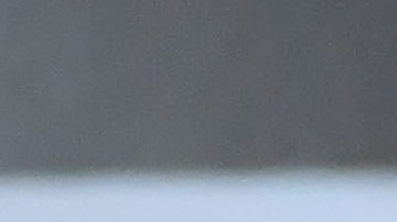 Veljko Paunovic entrenador de las Chivas.