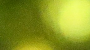 El Tuca Ferretti y Miguel Herrera.