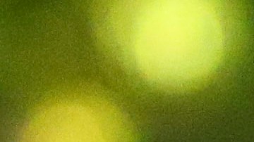 El Tuca Ferretti y Miguel Herrera.