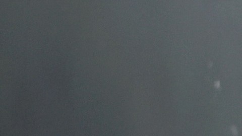 Jimmy Warden y Samara Weaving asisten al estreno en Los Ángeles de "Cocaine Bear"