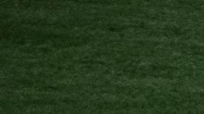 Jugadores de México celebran la victoria ante Colombia, durante la primera ronda de la Serie del Caribe Gran Caracas 2023.