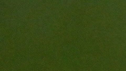 Kylian Mbappé salió lesionado ante el Montpellier.
