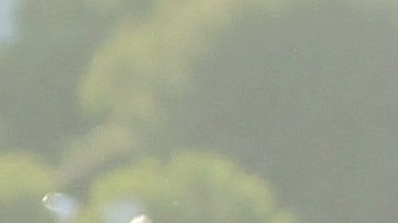 Ladrón de convertidor catalítico murió atropellado por posible víctima en Palmdale